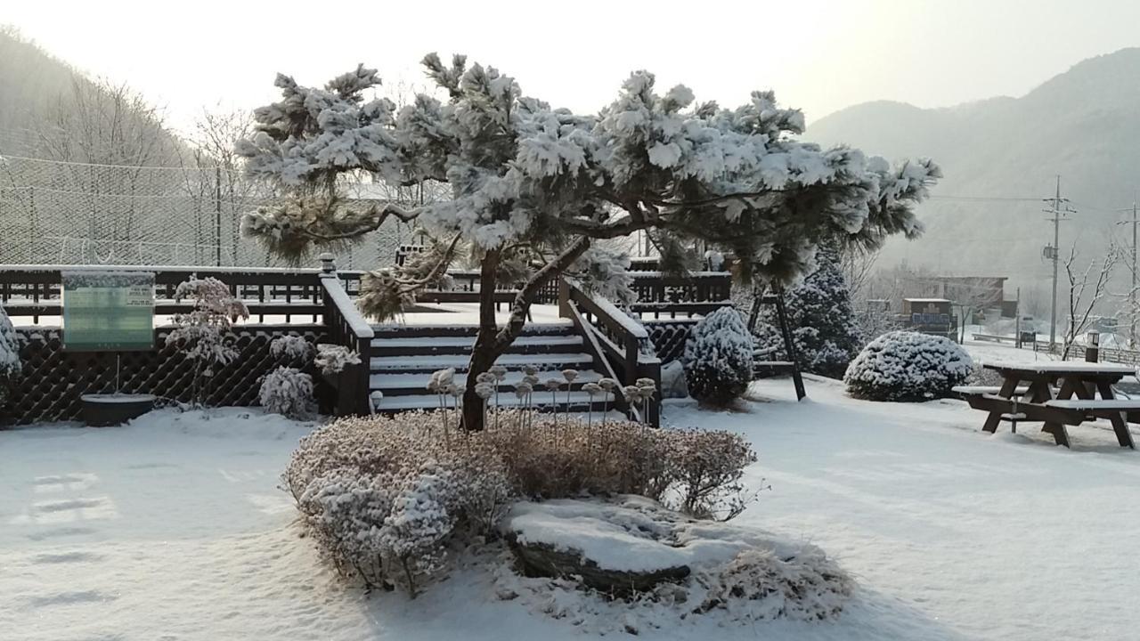 Forest Of Color Holiday home Hongcheon