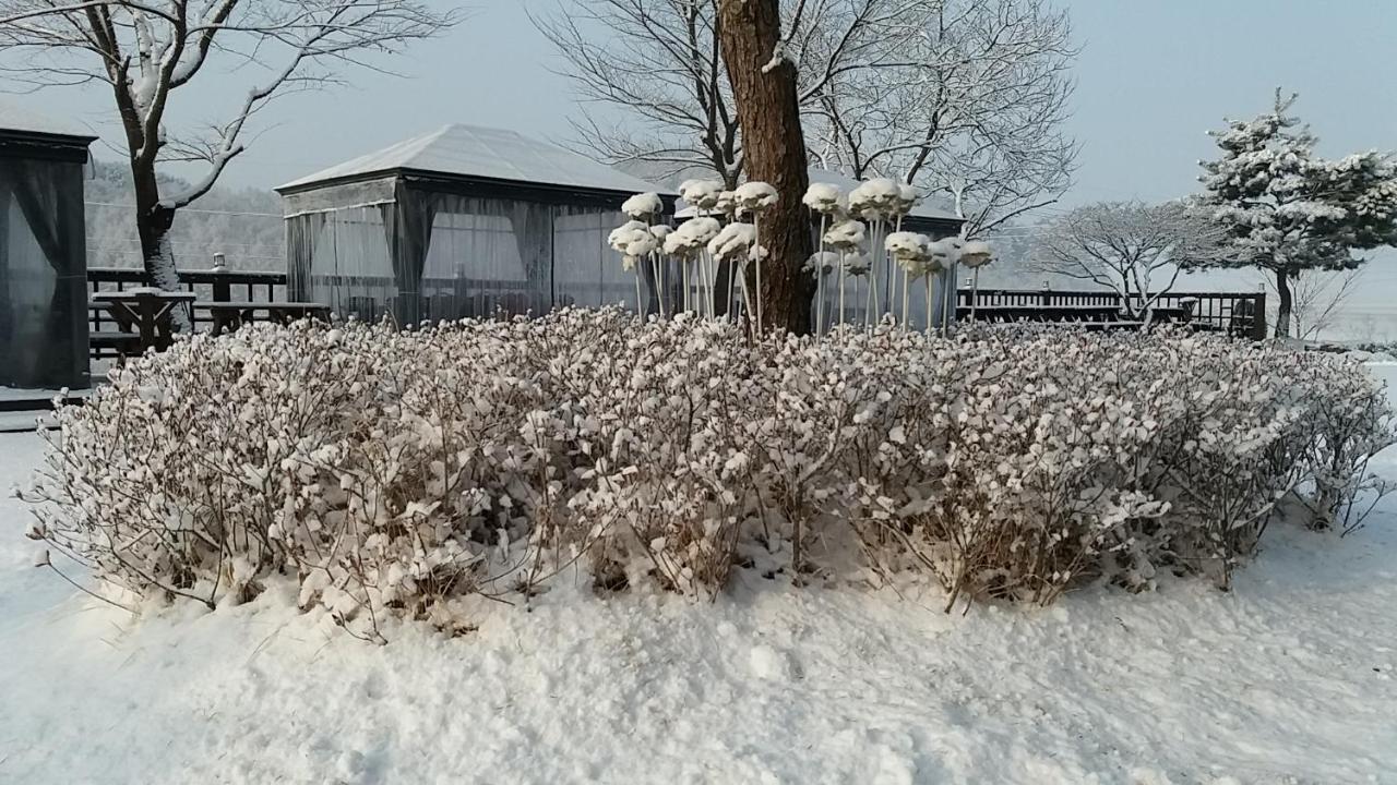 Forest Of Color Hongcheon