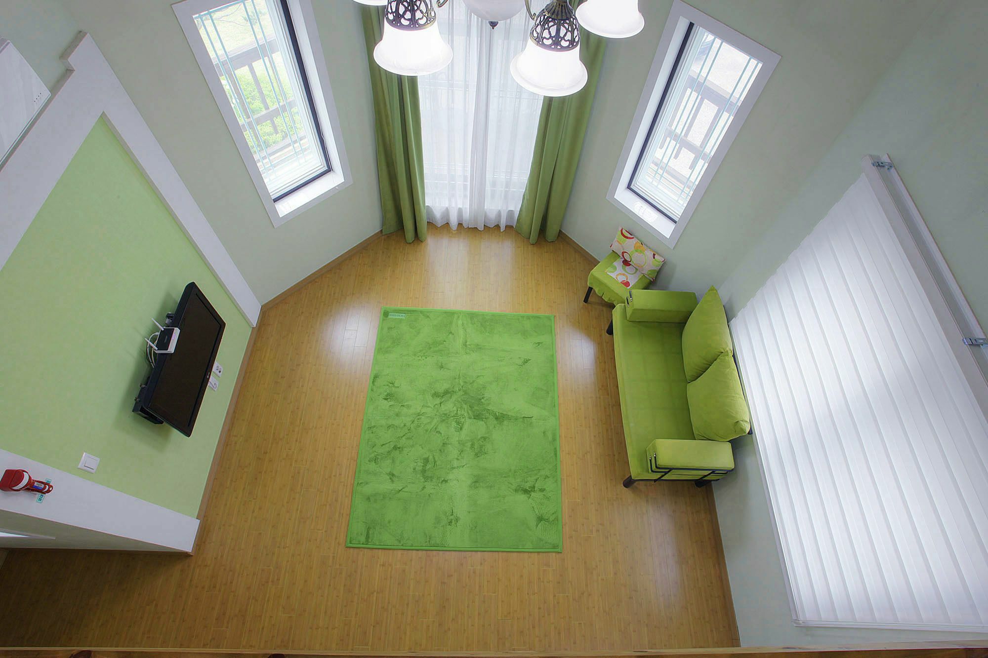 Forest Of Color Holiday home