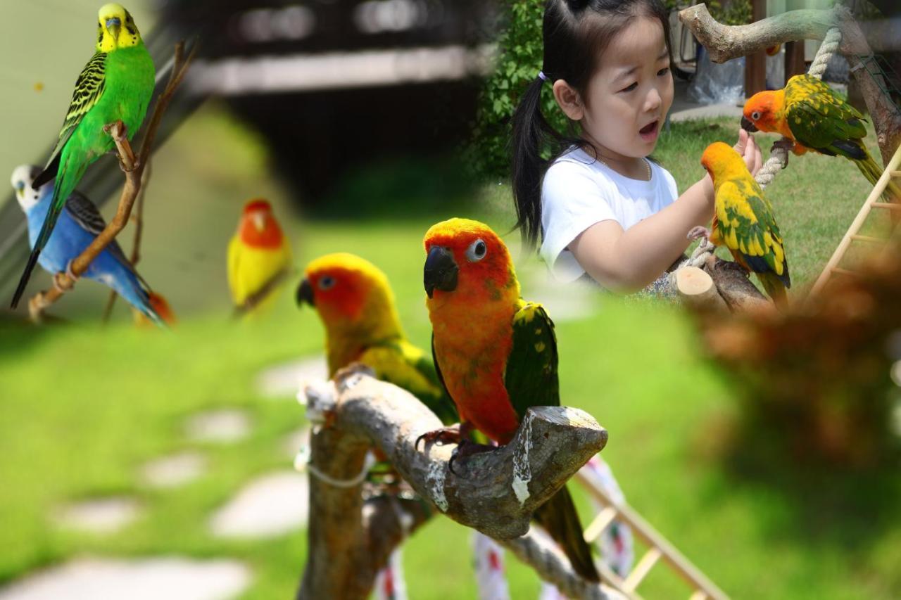 Forest Of Color Hongcheon